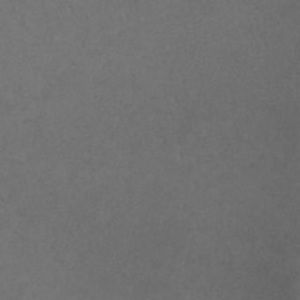 Meet your Posher, Bella